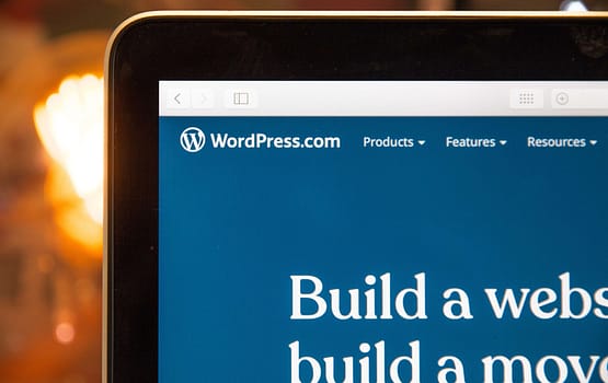 Waarom Wordpress? Hierbij een korte les!